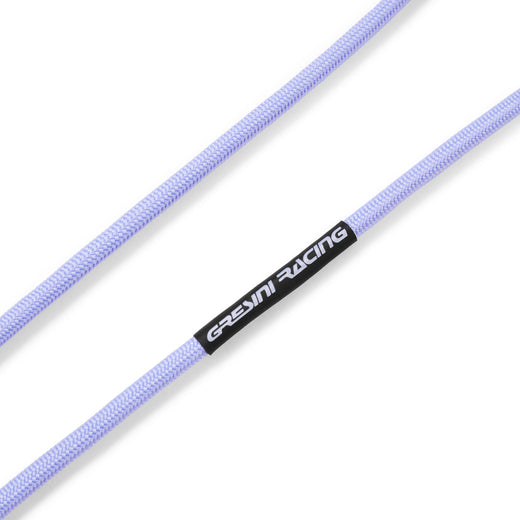 NEW Gresini Racing Lanyard